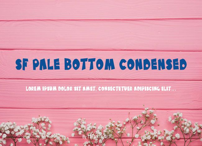 SF Pale Bottom Condensed example